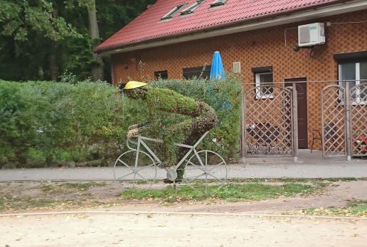 , Mariusz