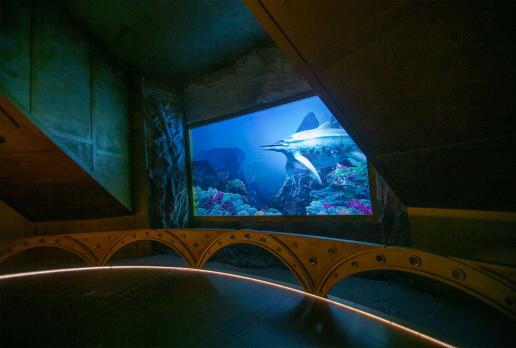 Oceanarium