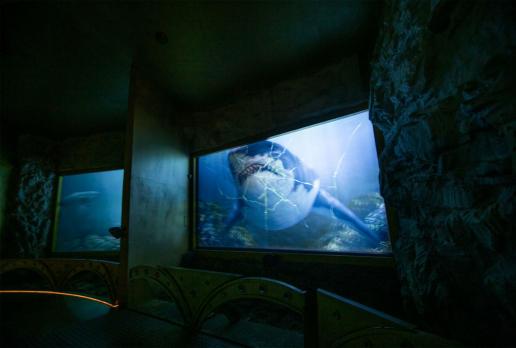 Oceanarium