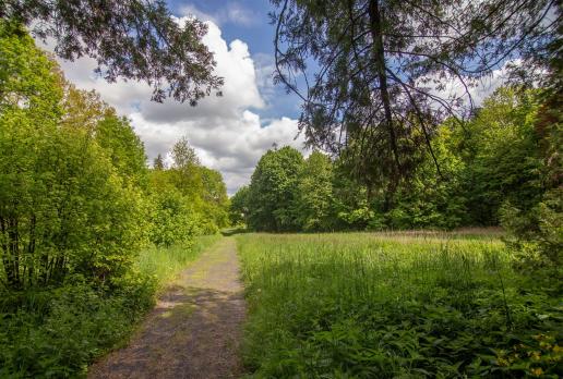 Park w Dąbrowie