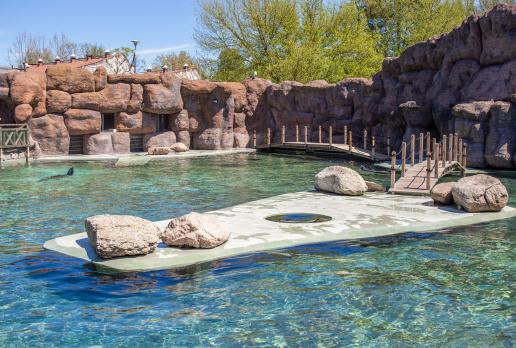 Zoo 
