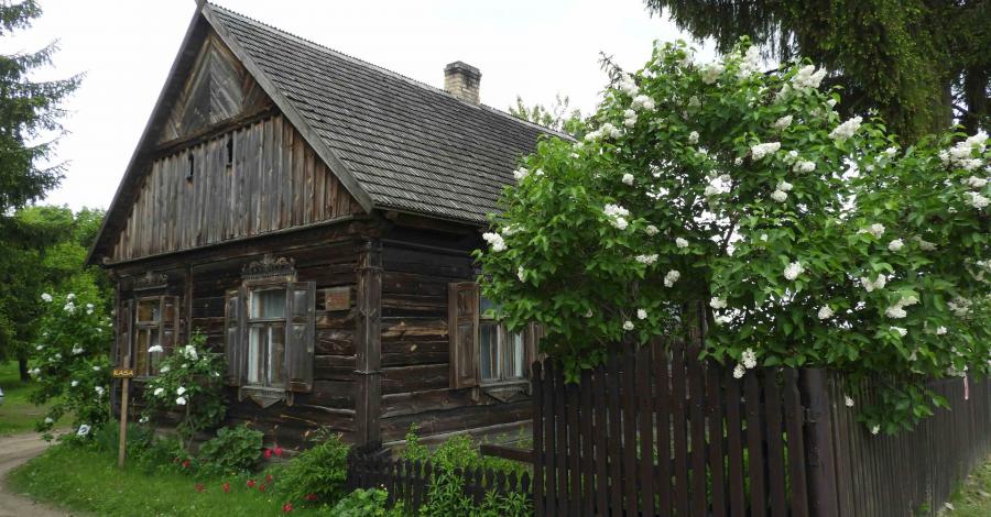 Nowogród – skansen, czołg i bunkier - zdjęcie