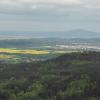 widok z wieży, mirosław