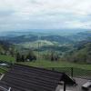 widok, mirosław