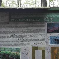 tablica , mirosław