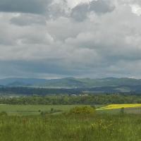 widok, mirosław