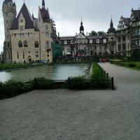 , marian