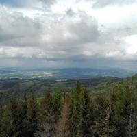 widok z wieży, mirosław