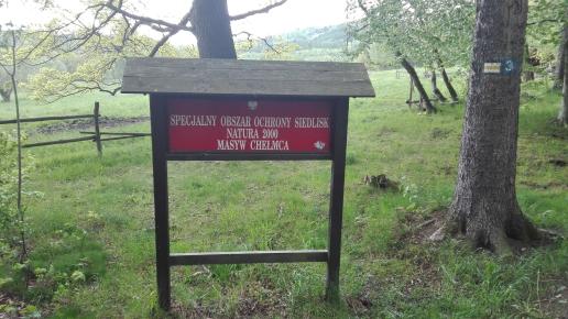 , mirosław