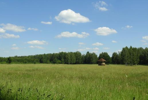 ostoja żubrów Czoło, Joanna