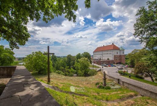 Widok na zamek