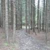 widok, mirosław