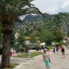 Kotor, marian