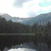 staw, mirosław