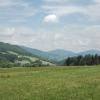 widok, mirosław