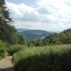 widok, mirosław