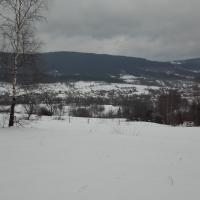 widok, mirosław