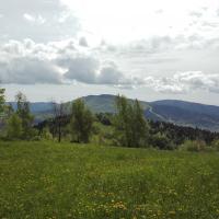 widok, mirosław