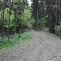 szlak, mirosław