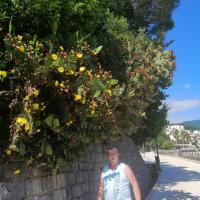 Herceg Novi, marian