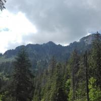 widok, mirosław