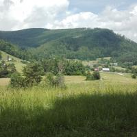 widok, mirosław
