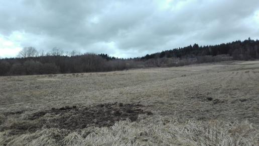 widok, mirosław