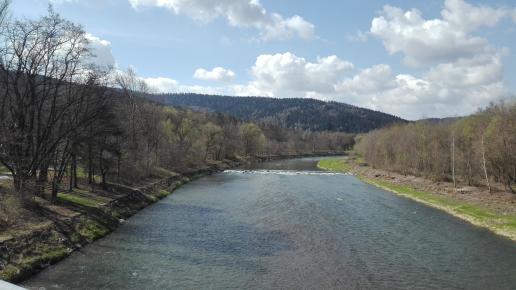 widok, mirosław
