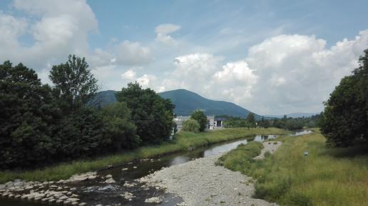 widok, mirosław