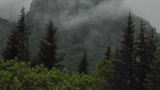 widok, mirosław
