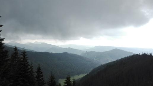widok, mirosław