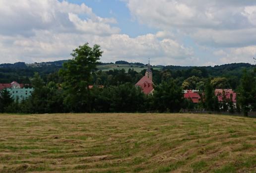 Widok na miejscowość Trójca, Mariusz