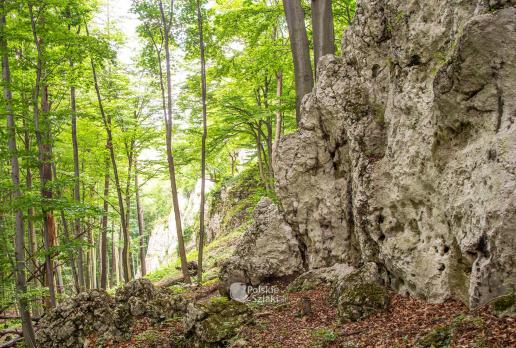 Rezerwat Dolina Szklarki