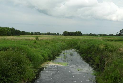 Klukówka, Joanna