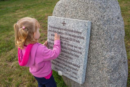 Grodzisko Lubin Tarasy Widokowe