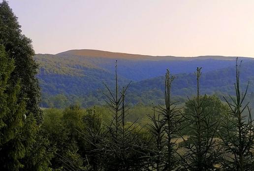 Ośla Łąka, Magdalena