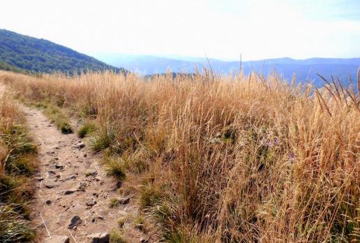 szlak na Smerek, Magdalena