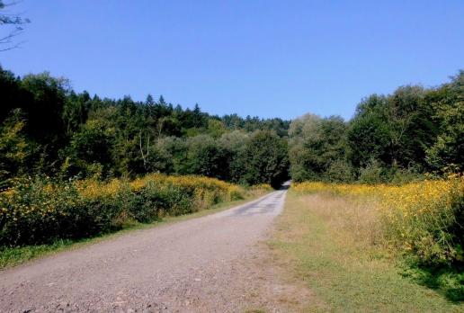 wodospad Szepit, Magdalena
