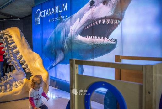 Międzyzdroje Oceanarium