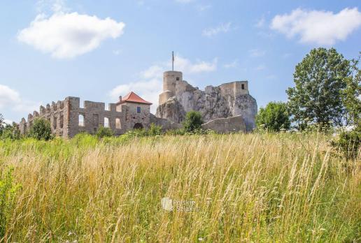 Zamek Rabsztyn