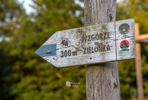 Idziemy na Wzgórze Zielonka