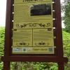 Łyński Młyn, Joanna