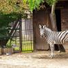 Zoo w Łodzi