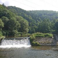 , Mariusz