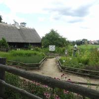 Olsztynek - skansen, ogród ziołowy, Joanna