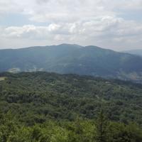 widok z wieży, mirosław