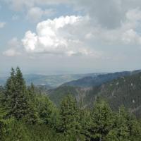 widok, mirosław