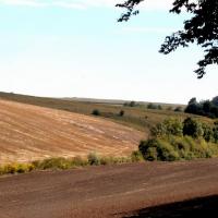 pomiędzy wąwozem, a Doliną Dłubni, Magdalena