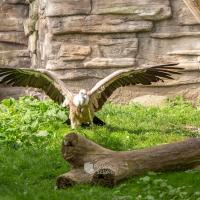 Zoo w Łodzi