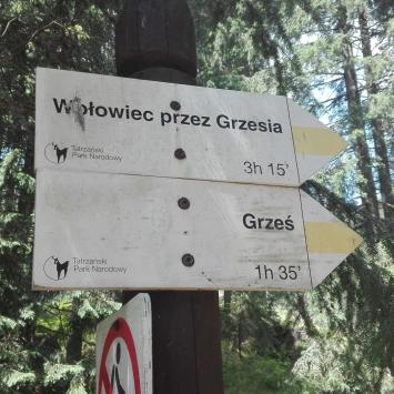 szlak, mirosław